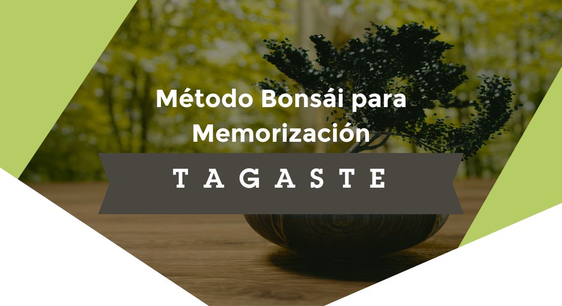imagen destacada sobre el método de estudio bonsái